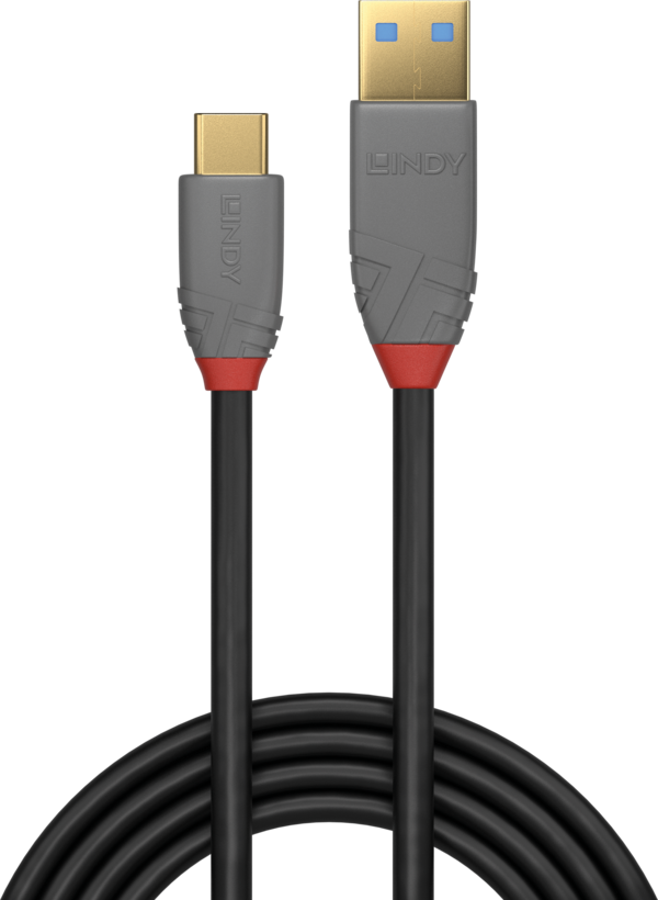 Câble USB LINDY type A - C, 0,5 m