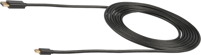 StarTech DisplayPort - Mini DP Cable 4m
