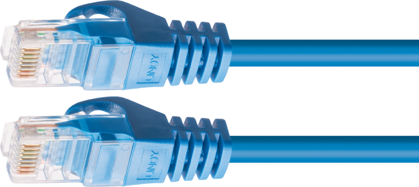 Patch Cable RJ45 U/UTP Cat6 0.3m blue