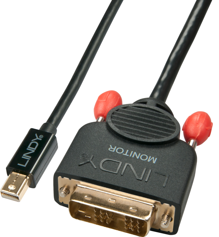 LINDY Mini DP - DVI-D Cable 2m