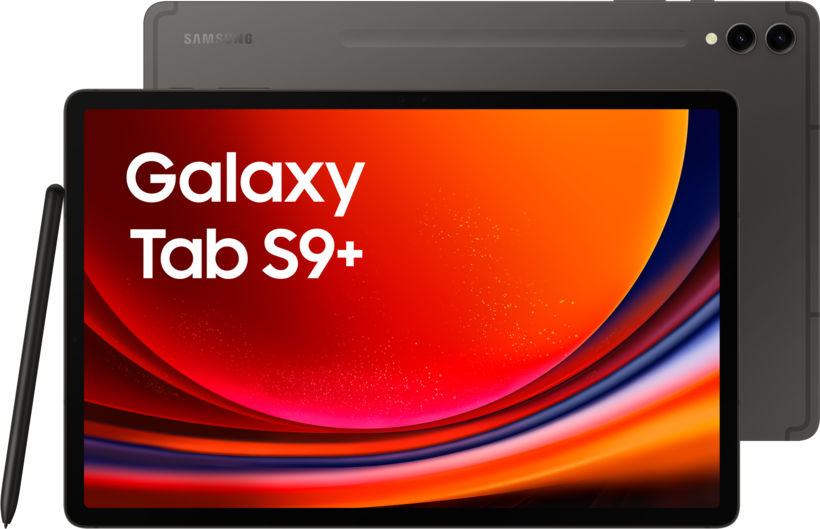 Samsung Galaxy Tab S9+ 256 GB grafit.