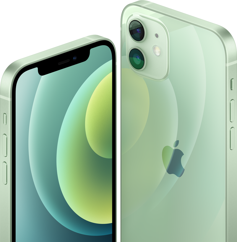 Apple iPhone 12 256 GB grün