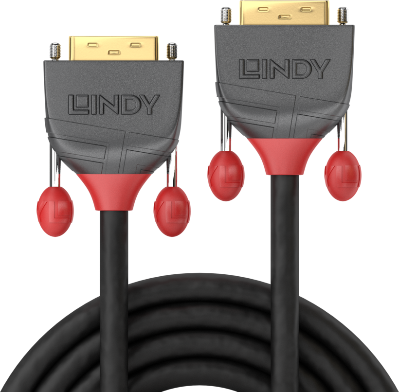 Câble DVI-D Lindy DualLink, 0,5 m