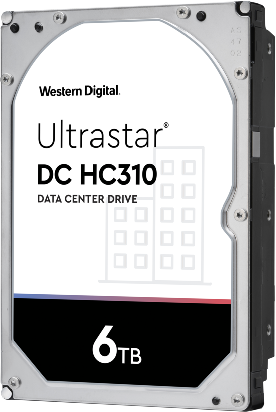 DD 6 To Western Digital DC HC310