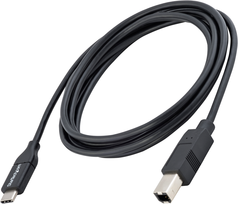 Cable USB 2.0 C/m-B/m 2m Black