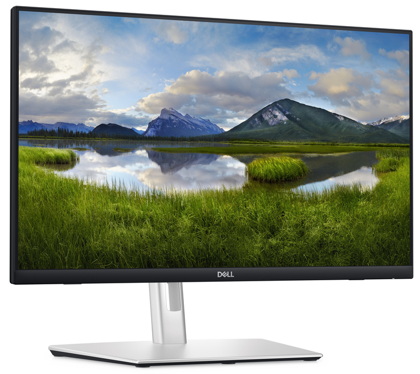 Dell Professional P2424HT Touch-Monitor