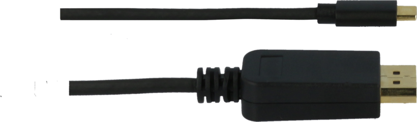 Cable USB tipo C m - DisplayPort m 2 m