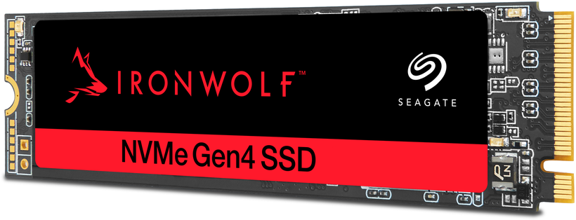 SSD 500 Go Seagate IronWolf 525