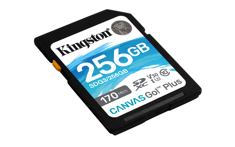 Scheda SD 256 GB Canvas Go! Plus