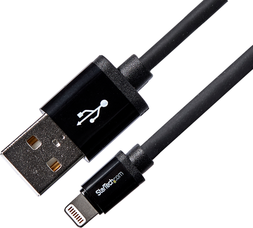 Cavo USB Type A - Lightning 2 m