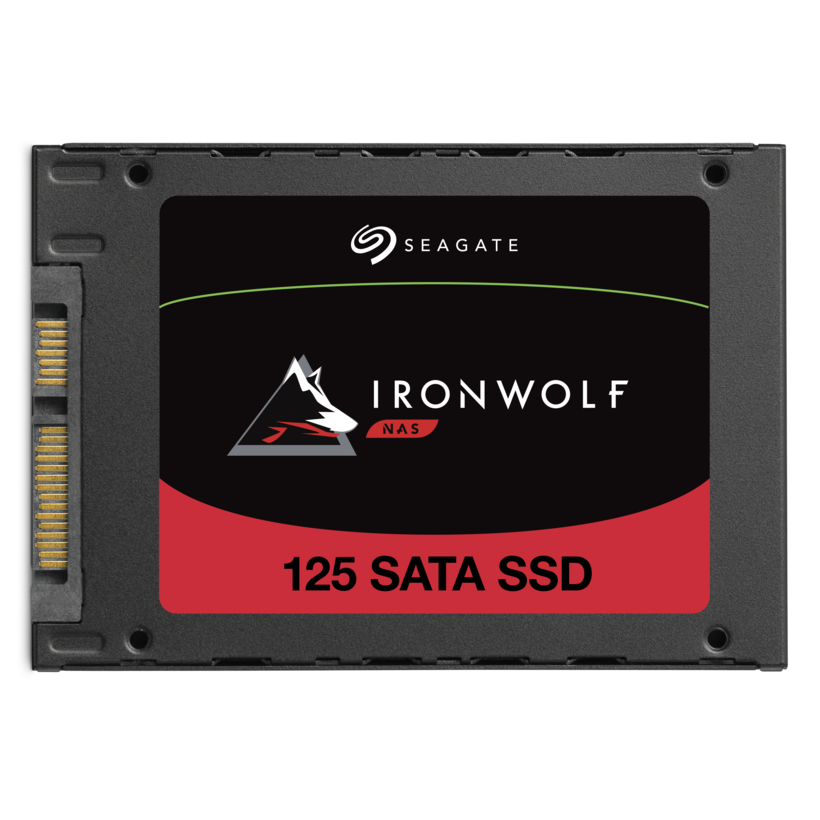 SSD 250 GB NAS Seagate IronWolf 125
