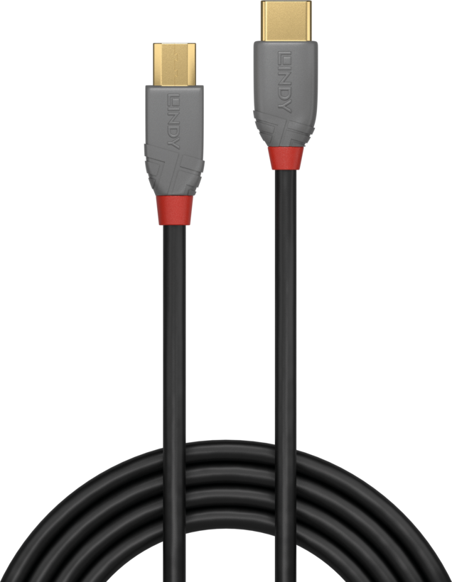 Câble LINDY USB type C - micro-B 2 m