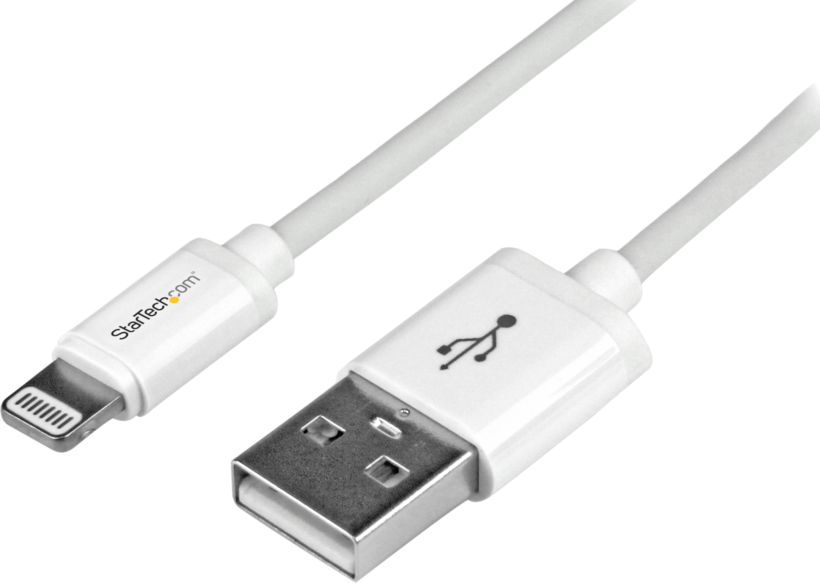 Cable USB 2.0 m(A)-m(Lightning), 1 m