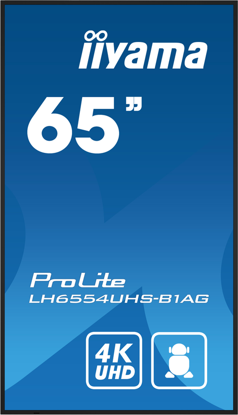 Display iiyama ProLite LH6554UHS-B1AG