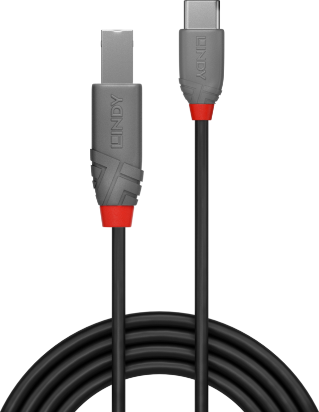 LINDY USB Typ C - B Kabel 2 m