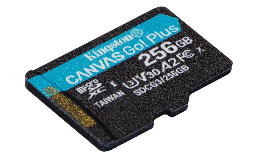 Kingston Canvas Go! Plus 256GB microSDXC