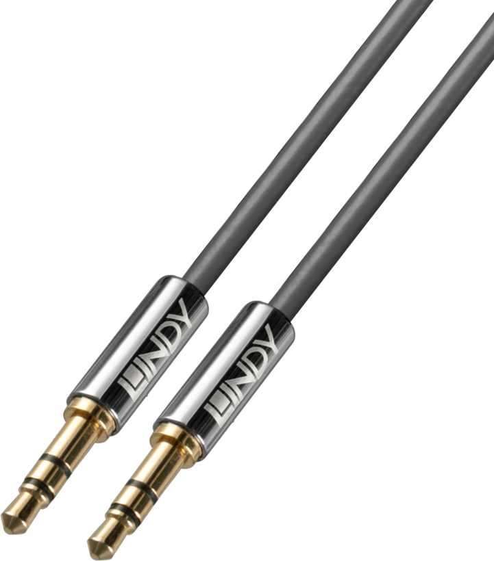 Cable jack m. - jack m. 3,5 mm 5 m