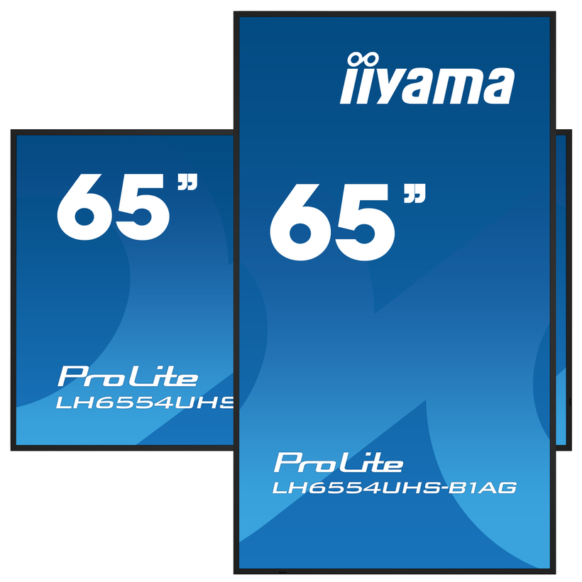 iiyama ProLite LH6554UHS-B1AG Display