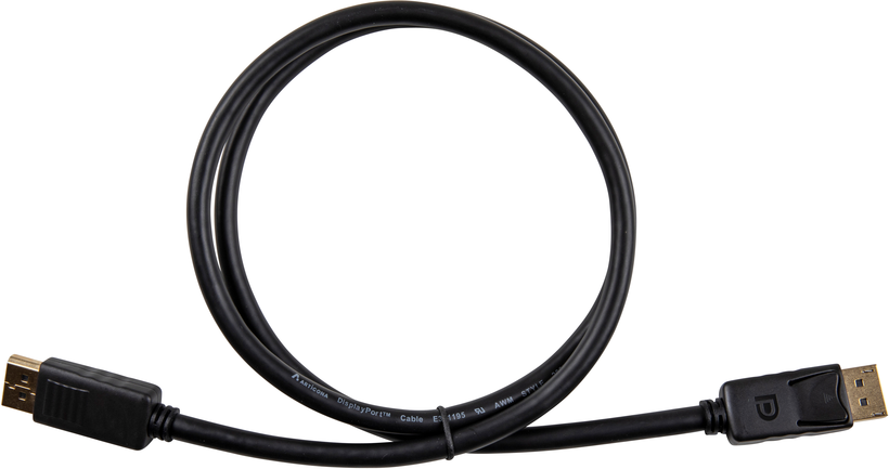 Cable DisplayPort/m-m 1m Black