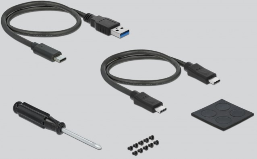 Boîtier DD/SSD Delock SATA USB-C et A