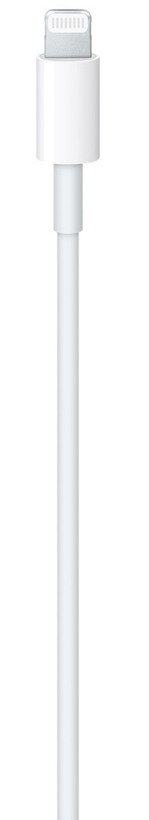 Cable Apple Lightning - USB-C 2 m