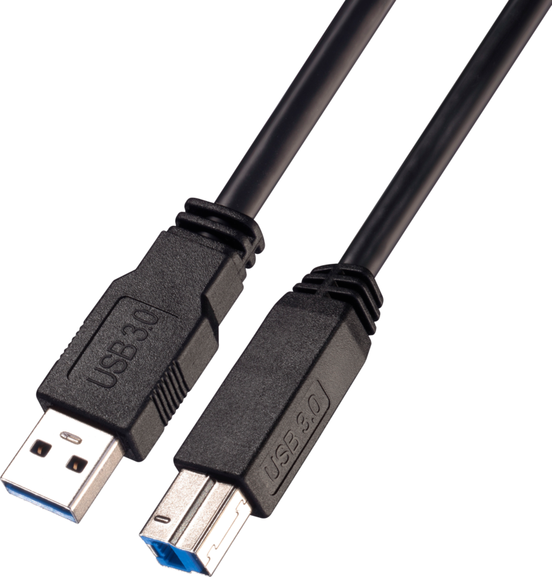 Câble USB LINDY type A - B actif, 10 m