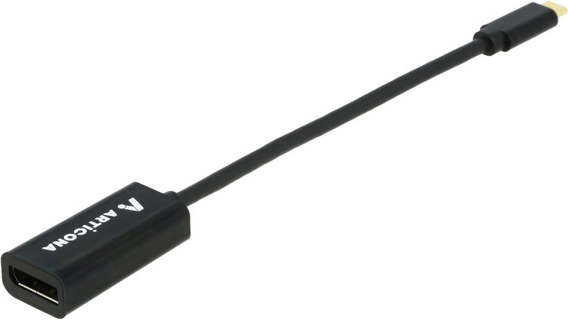 Adaptateur USB-C m. - DisplayPort f.