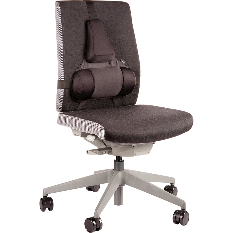 Fellowes Professional Back Support