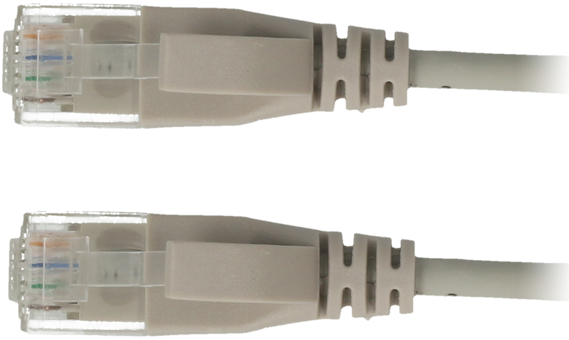 Câble patch RJ45 U/UTP Cat6a 1 m, gris