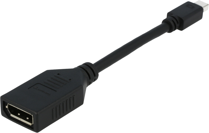 MiniDisplayPort - DisplayPort adapter