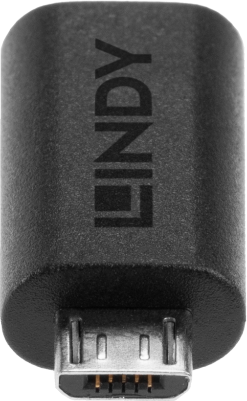 Adaptateur LINDY USB type C - micro B
