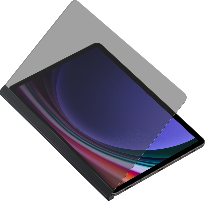 Filtro priv. Samsung Galaxy Tab S9