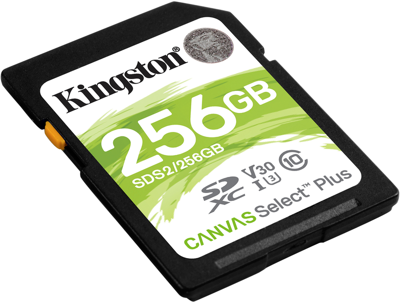 Kingston Canvas Select P SDXC k. 256 GB