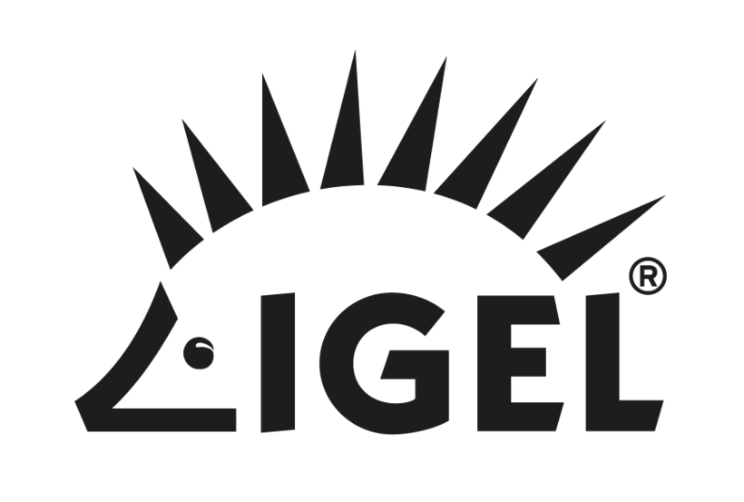 IGEL Ent Technical Relationship Manager 1 YearSUB