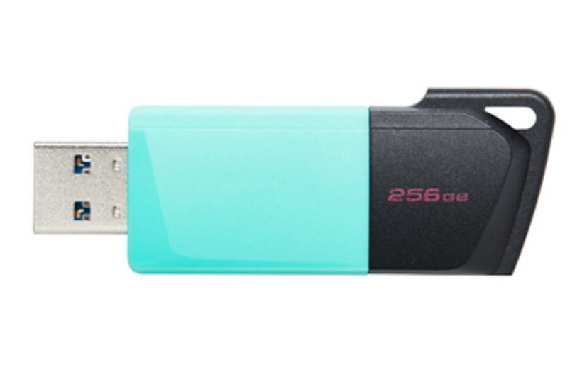 Chiavetta USB 256 GB DT Exodia M