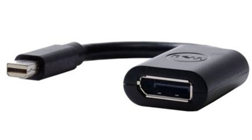 Dell Mini-DisplayPort - DP Adapter