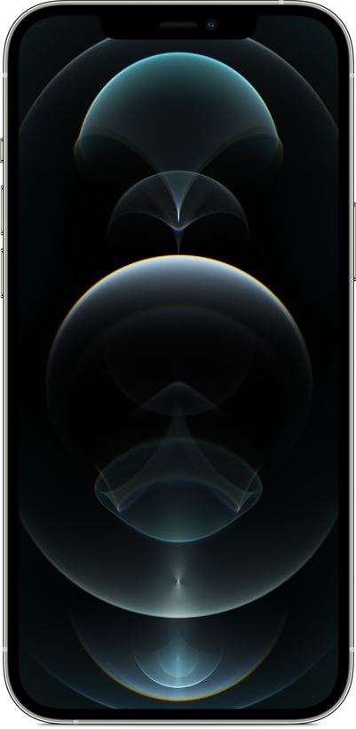 Apple iPhone 12 Pro Max 256 GB silber