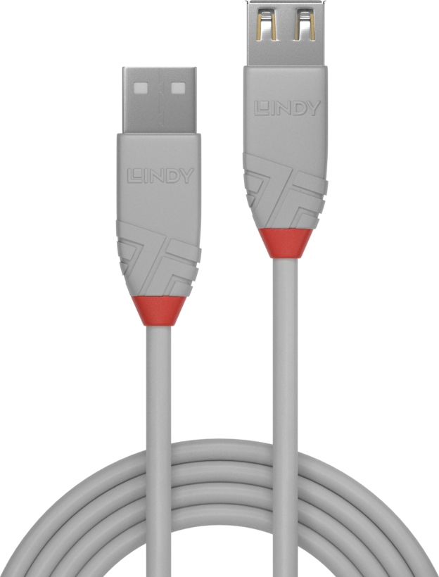 LINDY USB Typ A Verlängerung 1 m