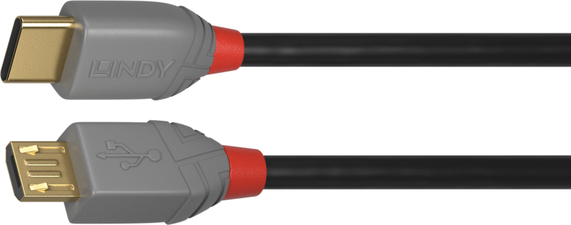 Câble LINDY USB type C - micro-B 0,5 m