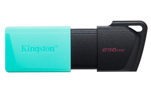 Kingston DT Exodia M 256GB USB Stick