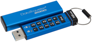 Kingston DT 2000 USB Stick 16GB