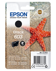 Inkoust Epson 603 černý