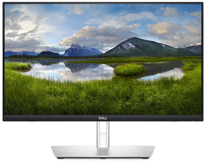 Monitor touch Dell Professional P2424HT