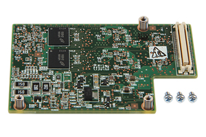 Fujitsu RAID-Controller TFM Modul D3116C
