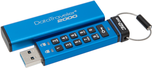 Kingston DT 2000 32 GB USB Stick