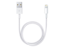 Widok produktu Apple Kabel Lightning - USB 0,5 m w pomniejszeniu
