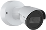 AXIS M2036-LE hálózati kamera előnézet