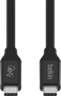 Widok produktu Belkin Kabel USB Typ C, 0,8 m w pomniejszeniu