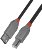 Aperçu de Câble USB LINDY type A - B, 0,5 m
