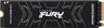 Fury Renegade 2 TB SSD Vorschau